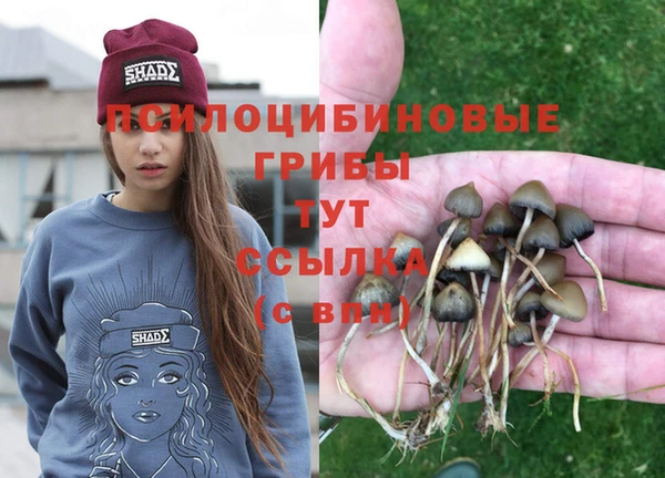 винт Алексеевка