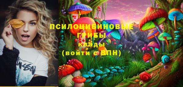 наркотики Алексин