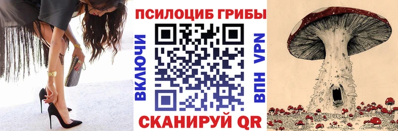 Псилоцибиновые грибы Psilocybe  Кемерово 